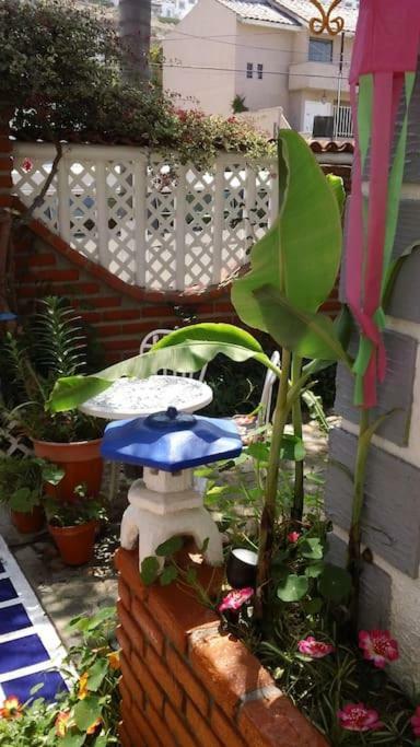 Amazingly Romantic Vacation For Your Honeymoon Tijuana Exterior foto